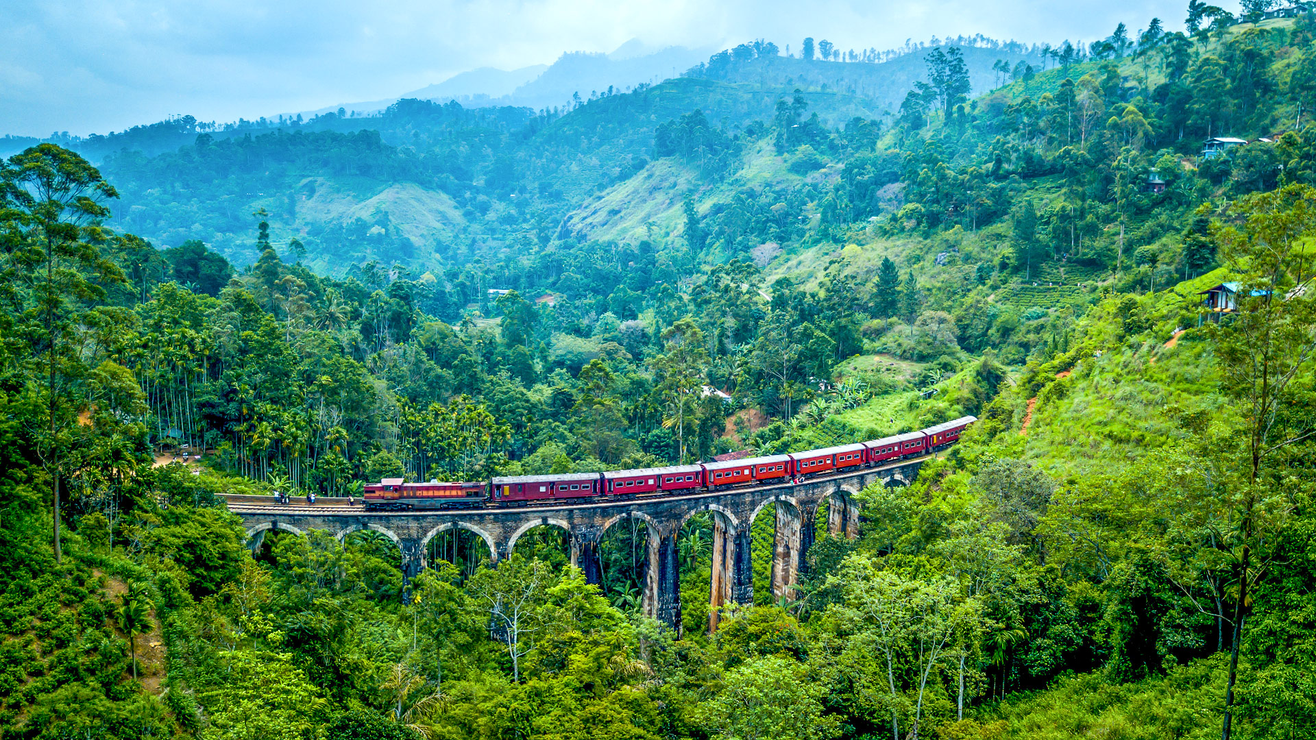 VIP Nuwara Eliya Tour